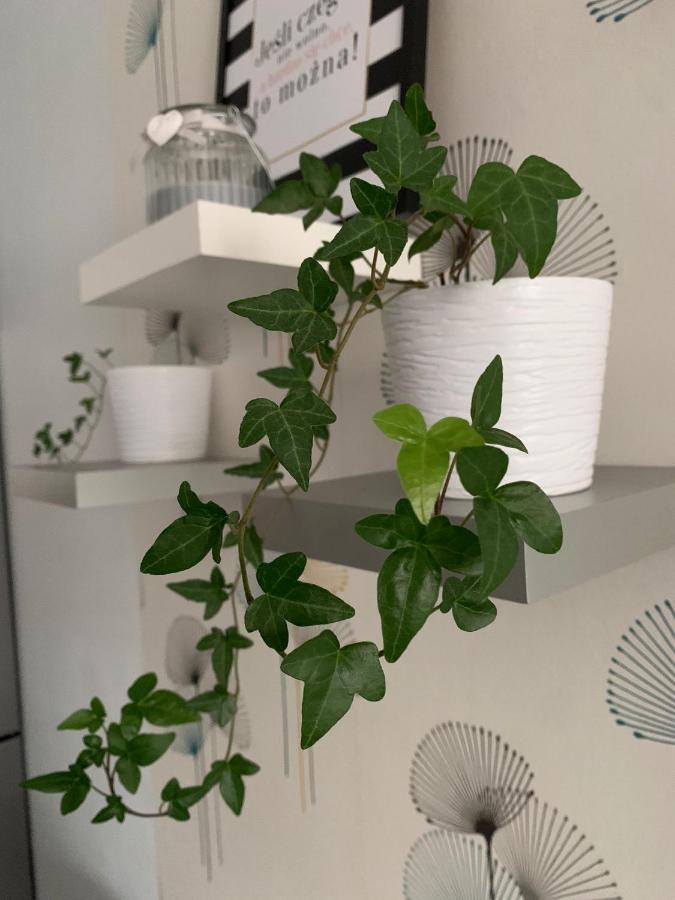 Apartament Polonia Daire Szczecin Dış mekan fotoğraf